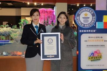 吉尼斯世界纪录颁出“最大的拼插式塑料积木三维景观”称号