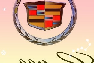 波点音乐因极简清爽的操作体验亦被大量网友称为宝藏APP